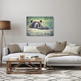 Obraz na szkle - niedźwiedź (70x50 cm)