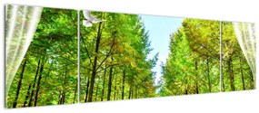 Obraz - Widok na las (170x50 cm)