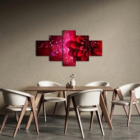 Obraz czerwonego kwiatu (125x70 cm)