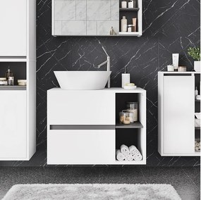 Szafka pod umywalkę biały/szary 80x46x60 viola