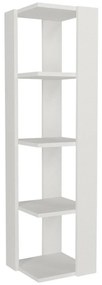 Biblioteczka Venita White