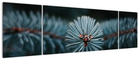 Obraz gałązki drzewa iglastego (170x50 cm)