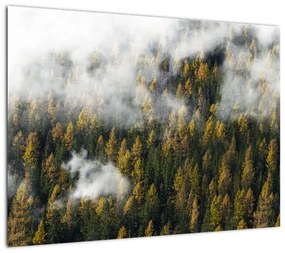 Obraz na szkle lasu w chmurach (70x50 cm)