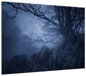 Obraz na szkle ciemnego lasu (70x50 cm)