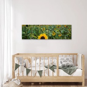 Obraz - Sunflower Field II. (170x50 cm)