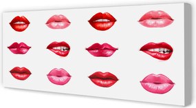 Obraz na płótnie Czerwień i Róż Ust