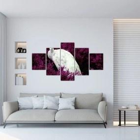 Obraz - Biały paw (125x70 cm)