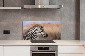 Panel szklany do Kuchni Spojrzenie Dzikiej Zebry