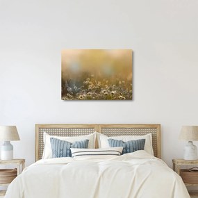 Obraz na szkle - Obraz na szkle olejny stokrotek (70x50 cm)