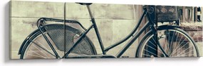 Obraz - Vintage rower z kwiatami (170x50 cm)