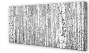 Obraz na płótnie Czarno-Biały Las