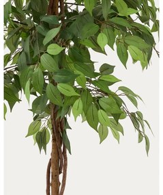 Sztuczny fikus (wysokość 180 cm) Ficus – Kave Home