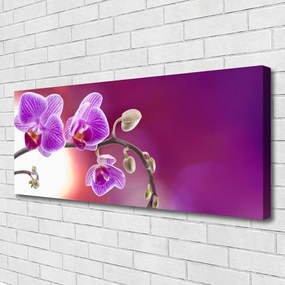 Obraz canvas Bukiet Letnich Kwiatów