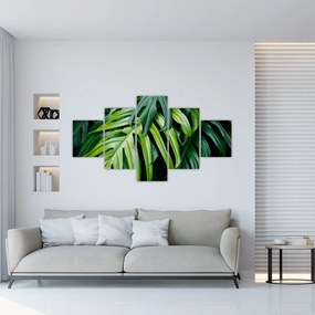 Obraz - Tropikalne liście (125x70 cm)