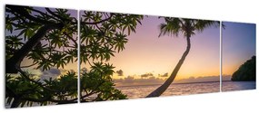 Obraz palmy na plaży (170x50 cm)