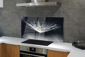 Panel nad Blat Kuchenny Mikroświat na Dmuchawcu