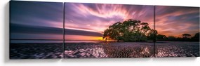 Obraz drzewa na plaży (170x50 cm)
