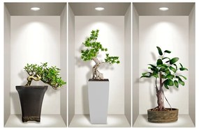 Komplet 3 naklejek ściennych 3D Ambiance Bonsai Plants