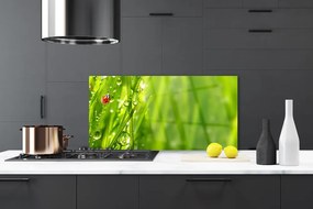 Szkło Dekoracyjne do Kuchni Biedronka na Zielonym Źdźble