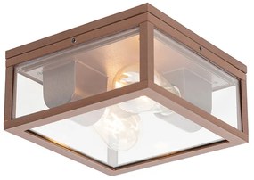 Zewnetrzna Industrialna lampa sufitowa rdzawo-brązowa IP44 2-światła - CharloisDesignerski Oswietlenie zewnetrzne