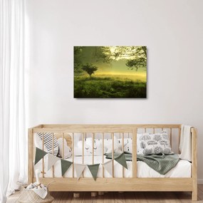 Obraz na szkle - Budzący się las (70x50 cm)