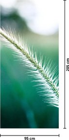 Fototapeta na drzwi - Źdźbło trawy (95x205cm)