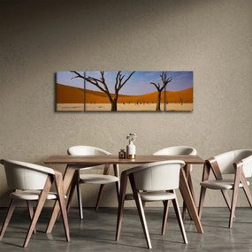 Obraz - Dolina Śmierci (170x50 cm)