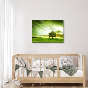 Obraz na szkle - Drzewo życia (70x50 cm)