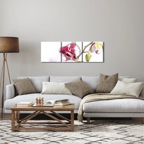 Obraz kwiatu orchidei (z zegarem) (90x30 cm)