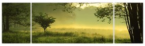 Obraz - Budzący się las (170x50 cm)