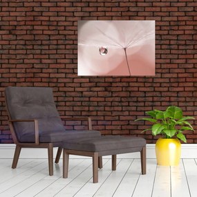 Obraz na szkle - Kropla rosy (70x50 cm)