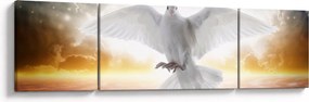 Obraz gołębicy (170x50 cm)