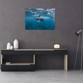 Obraz - Delfin pod wodą (70x50 cm)