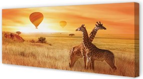 Fotoobraz na płótnie Żyrafy i Balony na Niebie