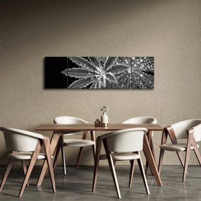Obraz - Liście z kroplami (170x50 cm)