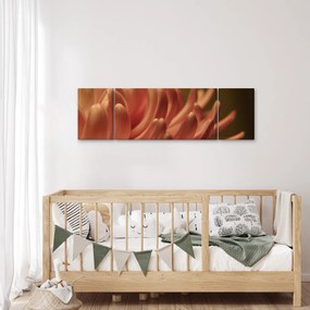 Obraz szczegółów kwiatu (170x50 cm)