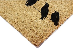 Wycieraczka z włókna kokosowego 40x60 cm Birds On a Wire – Artsy Doormats