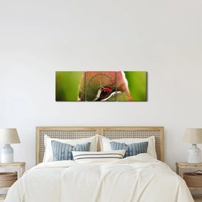 Obraz kolorowego ptaka (z zegarem) (90x30 cm)