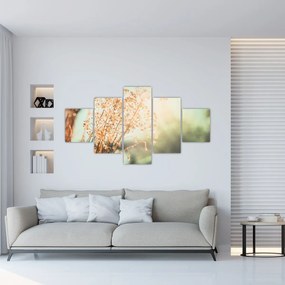 Obraz - Rośliny po deszczu (125x70 cm)