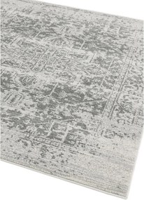 Szary dywan 160x230 cm Nova – Asiatic Carpets