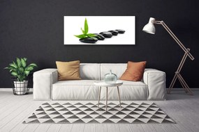 Obraz Canvas Kamienie Liście Sztuka