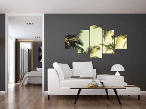 Obraz z palmami kokosowymi (125x70 cm)