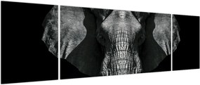 Obraz - Słoń na czarnym tle (170x50 cm)