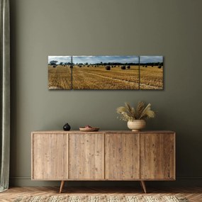 Obraz zebranego pola zboża (170x50 cm)
