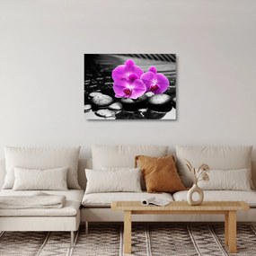 Obraz na szkle - Fioletowe orchidee (70x50 cm)