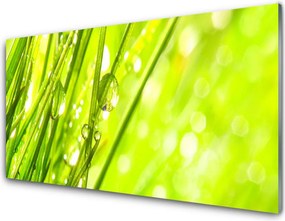 Panel Szklany Świeżość Porannej Rosy