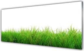Panel Szklany Soczysta Zielona Trawa