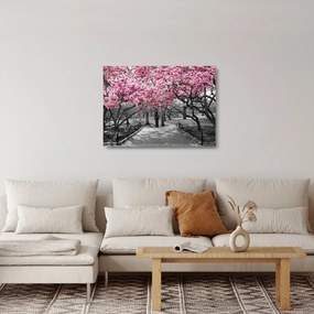 Obraz na szkle drzew magnolii (70x50 cm)