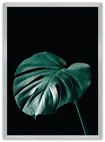 Plakat Dark Monstera