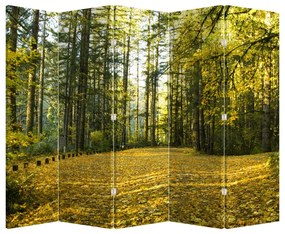 Parawan - Las jesienią (210x170 cm)
